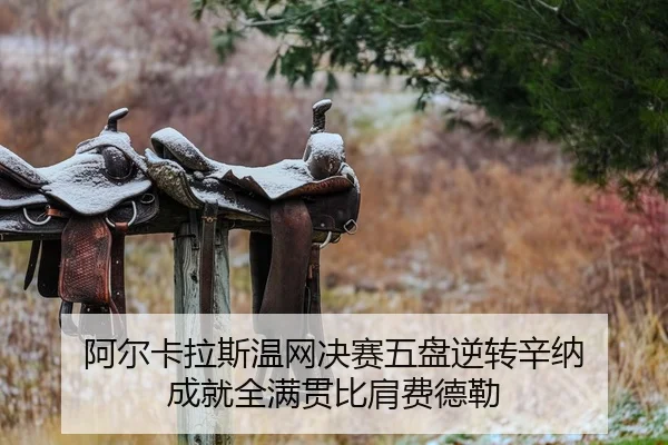 a-er-ka-la-si-wen-wang-jue-sai-wu-pan-ni-zhuan-xin-na-cheng-jiu-quan-man-guan-bi-jian-fei-de-lei-2-861.jpg